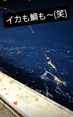 Screenshot_20260903_025213_Instagram.jpg